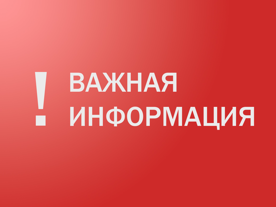 О проведении «горячей линии» по вопросам качества и безопасности детских товаров, по выбору новогодних подарков.