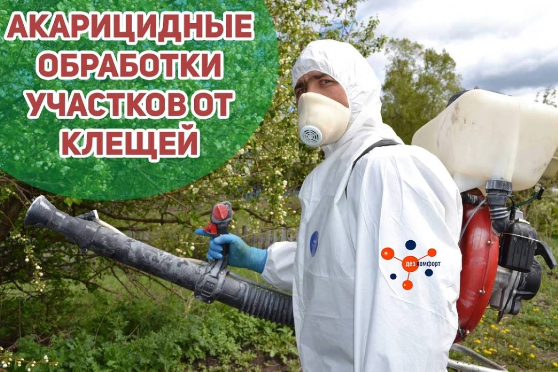 10 апреля 2025 года планируется проведение акарицидной обработки от клещей.